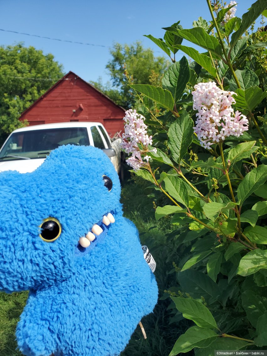 Бродяги — Интересные игрушки и фигурки (разное): редкие (фото 5)