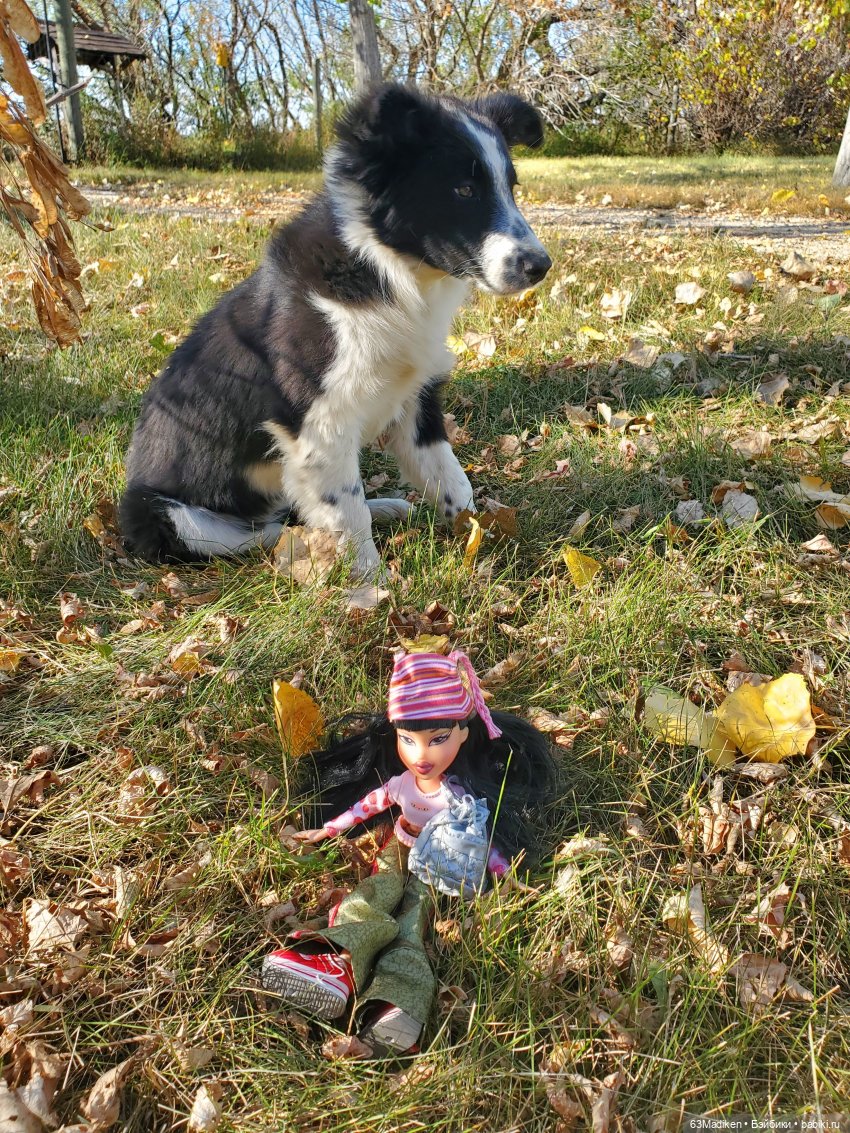 Гоша-Гося и Дуся на осенней прогулке | Бэйбики Гоша-Гося и Дуся на осенней прогулке