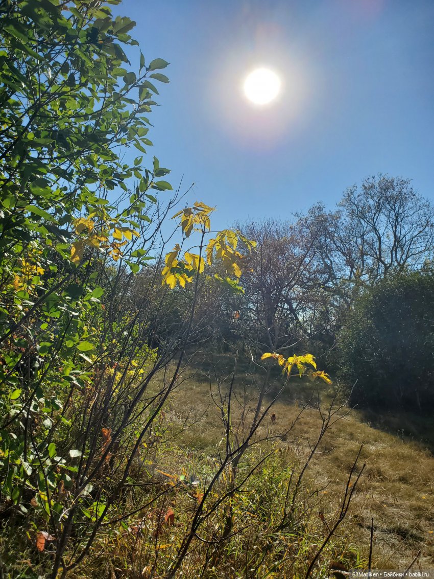 Гоша-Гося и Дуся на осенней прогулке | Бэйбики Гоша-Гося и Дуся на осенней прогулке