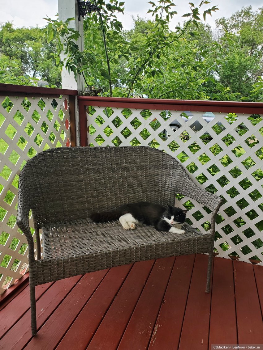 Гоша-Гося и Дуся на осенней прогулке | Бэйбики Гоша-Гося и Дуся на осенней прогулке (фото 5)