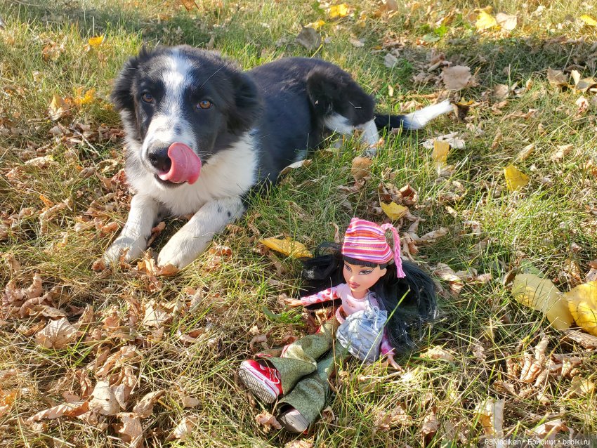 Гоша-Гося и Дуся на осенней прогулке | Бэйбики Гоша-Гося и Дуся на осенней прогулке