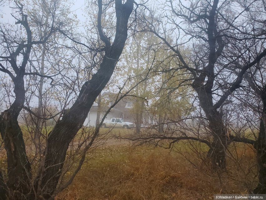 Ромашка в октябре — Куклы Rainbow High (Рейнбоу Хай (фото 6)