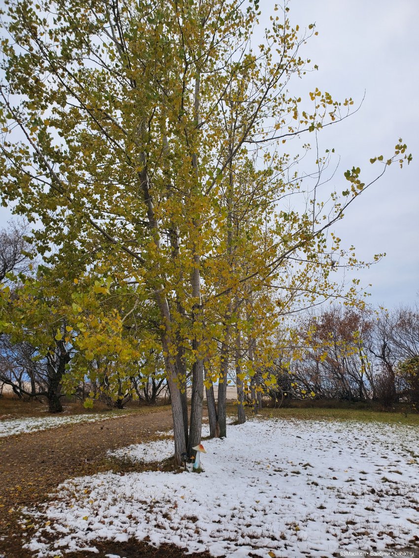 Ромашка в октябре — Куклы Rainbow High (Рейнбоу Хай (фото 4)