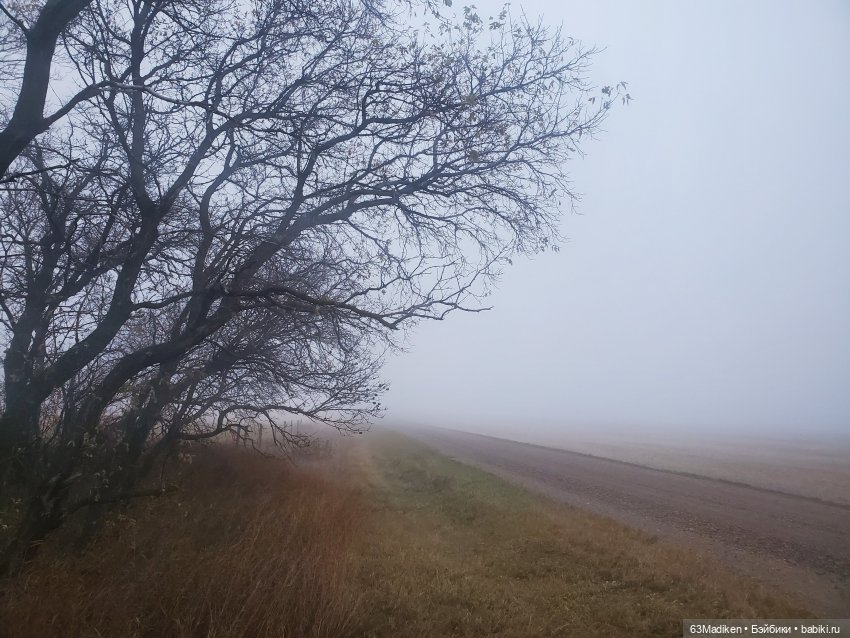 Ромашка в октябре — Куклы Rainbow High (Рейнбоу Хай (фото 5)