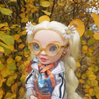 Ромашка в октябре