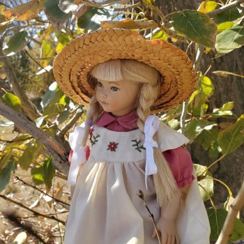 Маргаритка. Солнечный денёк.