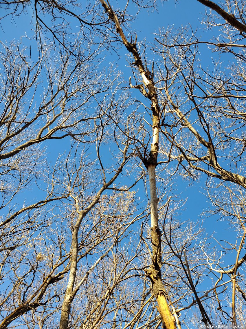 Солнце в ноябре — Куклы Helen Kish (Хелен Киш): Riley (Райли) (фото 5)