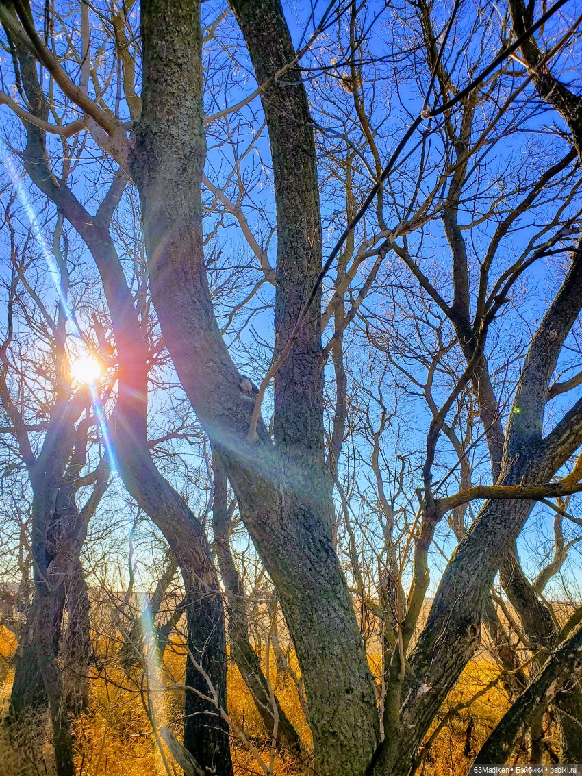 Солнце в ноябре — Куклы Helen Kish (Хелен Киш): Riley (Райли) (фото 6)