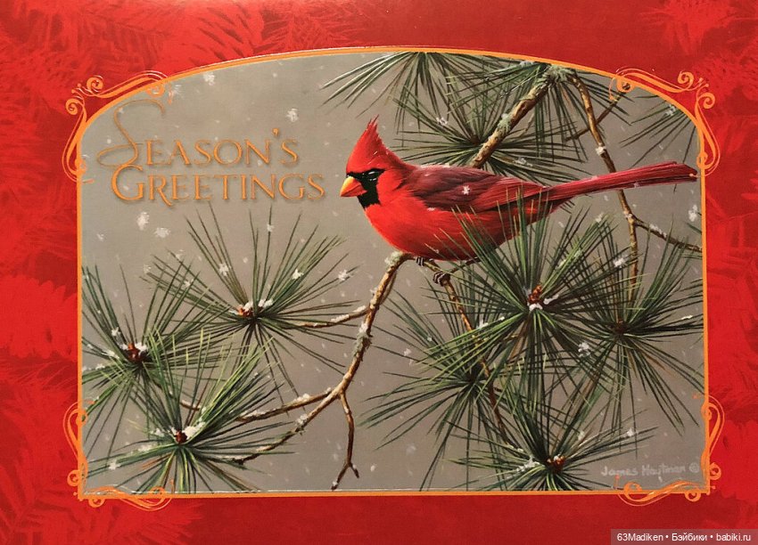 Красный кардинал — Куклы Sasha Morgenthaler (Саша Моргенталер): Trendon (фото 2)