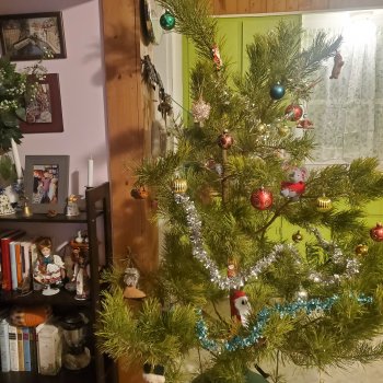 Необычная ёлка