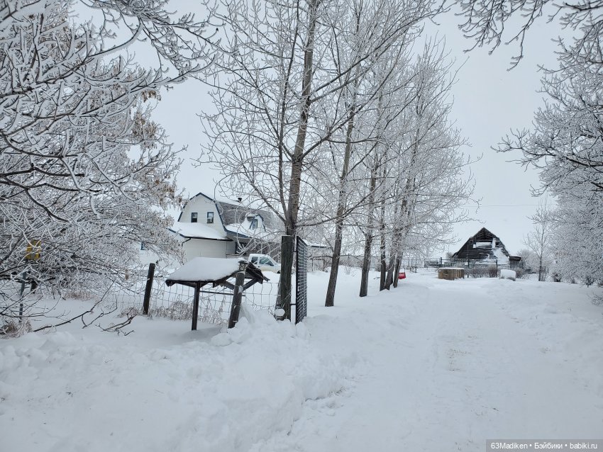 В режиме ожидания — Куклы Gotz (Готц): Ханна (фото 10)