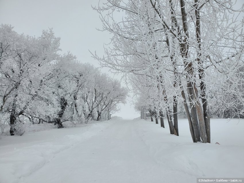 В режиме ожидания — Куклы Gotz (Готц): Ханна