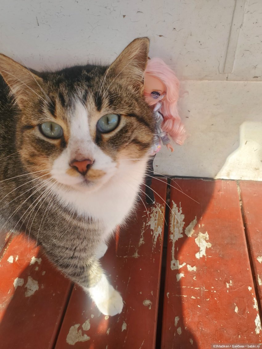 Bella Parker 2 — Куклы Rainbow High (Рейнбоу Хай