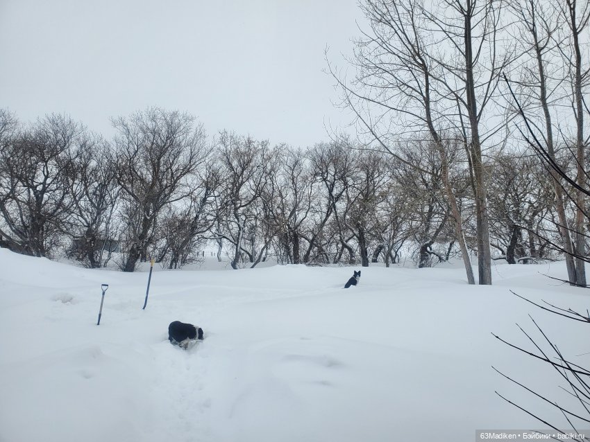 Завалило снегом — Куклы American Girl (фото 9)