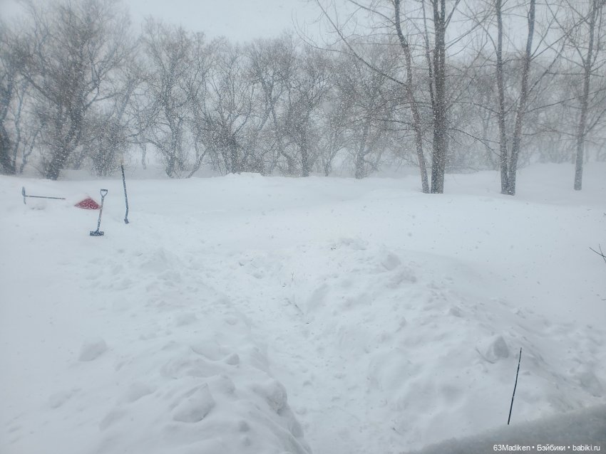 Завалило снегом — Куклы American Girl (фото 3)