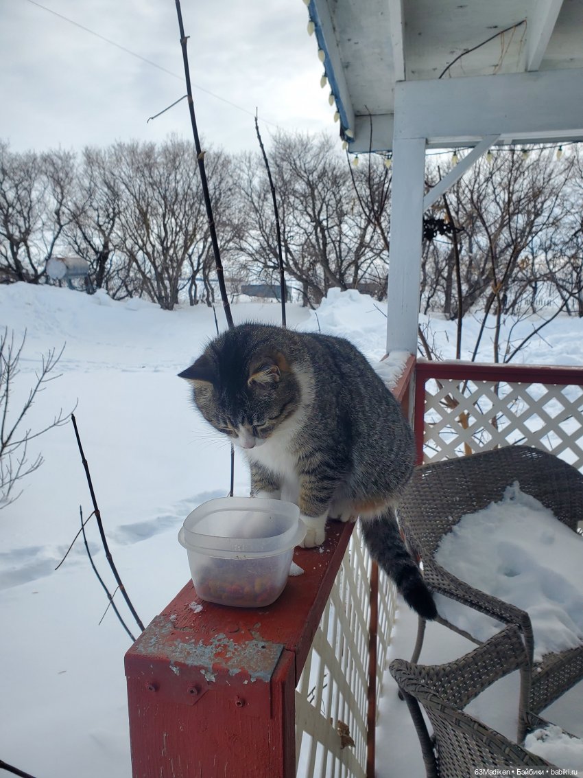 Моана чувствует весну — Куклы Disney Animators и Принцессы Диснея: Disney Store