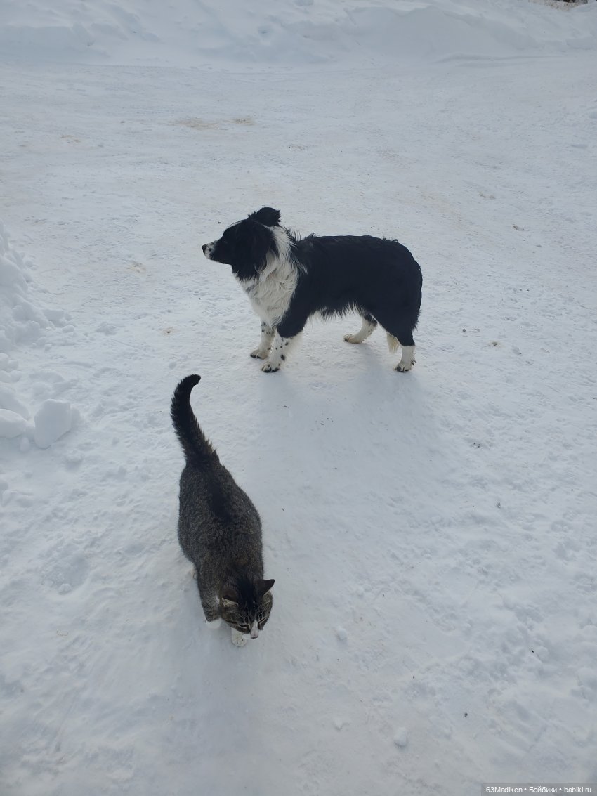 Моана чувствует весну — Куклы Disney Animators и Принцессы Диснея: Disney Store (фото 10)