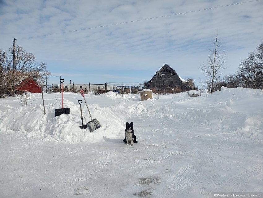 Моана чувствует весну — Куклы Disney Animators и Принцессы Диснея: Disney Store (фото 9)