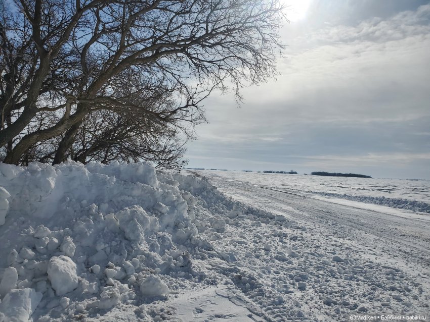 Моана чувствует весну — Куклы Disney Animators и Принцессы Диснея: Disney Store (фото 3)