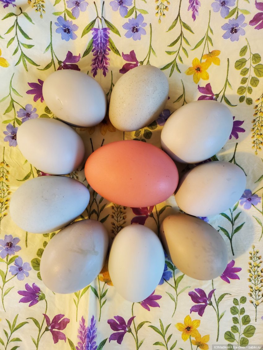 Март,Мартовский Заяц и Мартина (фото 4)