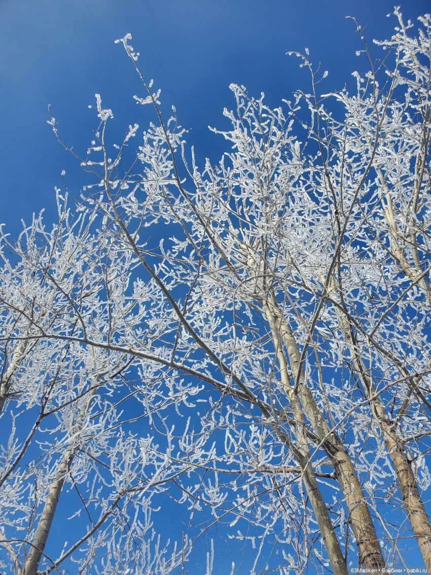 Мартовские обещания — Куклы Nancy Famosa (Ненси Фамоза): коллекционные перевыпуски