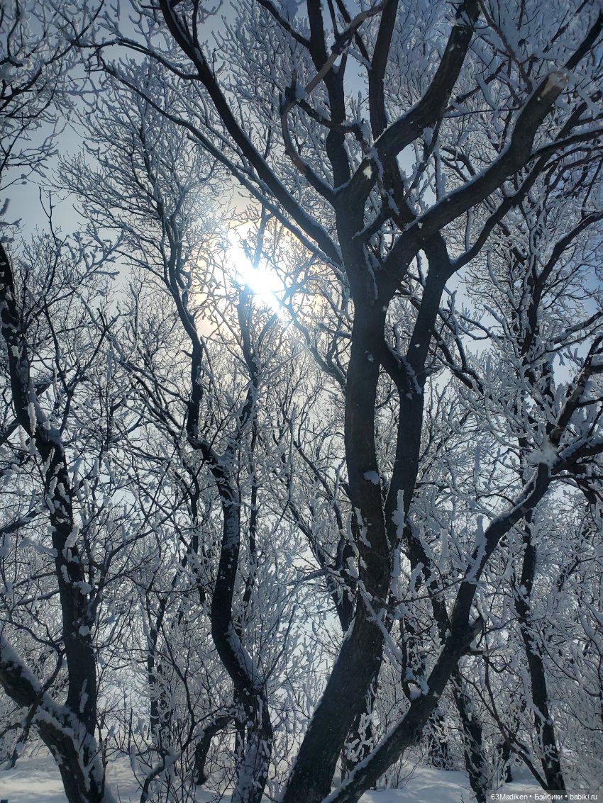 Мартовские обещания — Куклы Nancy Famosa (Ненси Фамоза): коллекционные перевыпуски (фото 2)