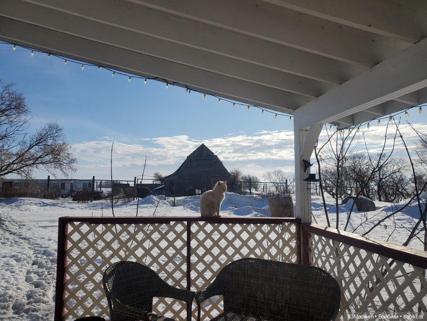 Солнечный зайчик — Винтажные куклы ГДР (Немки): Бигги (фото 6)