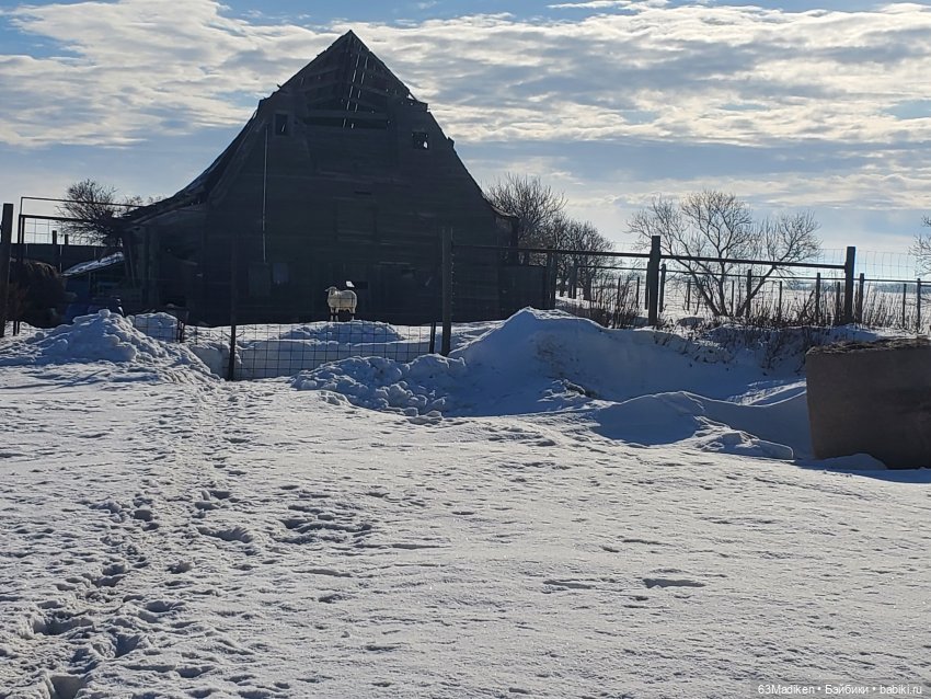 Солнечный зайчик — Винтажные куклы ГДР (Немки): Бигги (фото 7)