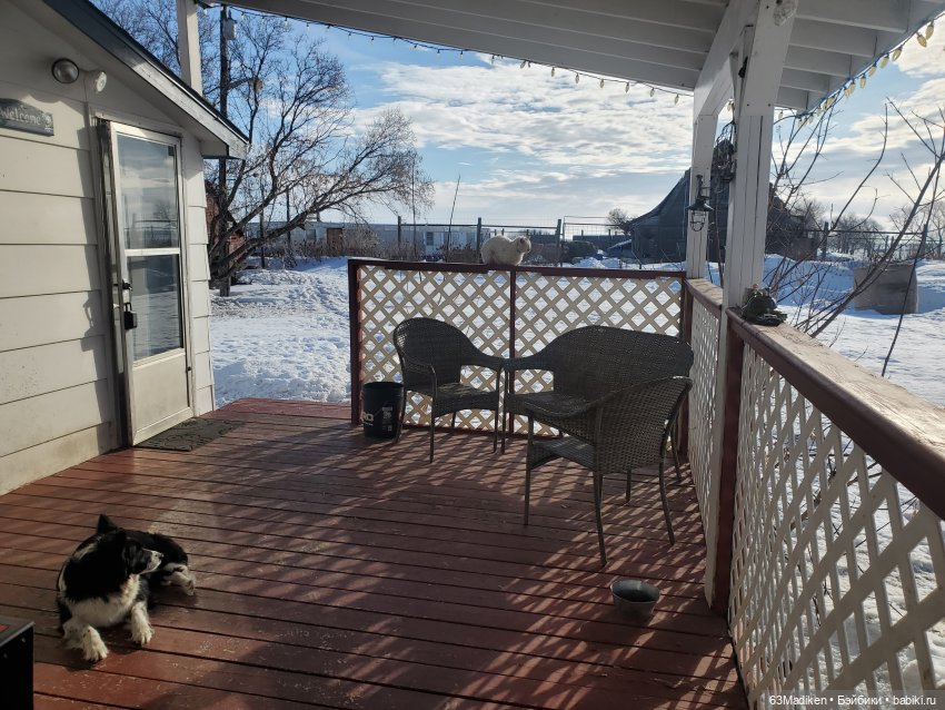 Солнечный зайчик — Винтажные куклы ГДР (Немки): Бигги (фото 5)