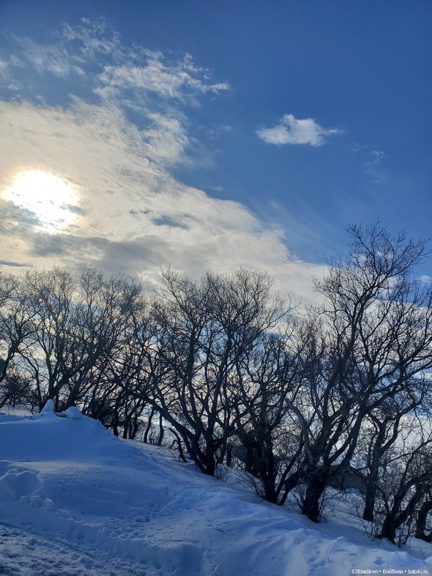 Солнечный зайчик — Винтажные куклы ГДР (Немки): Бигги (фото 4)