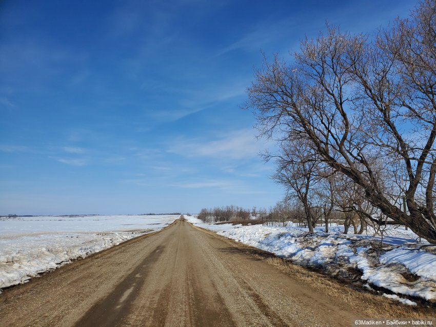 Ребята и котята — Куклы Mattel (Маттел) разное: Enchantimals (фото 10)