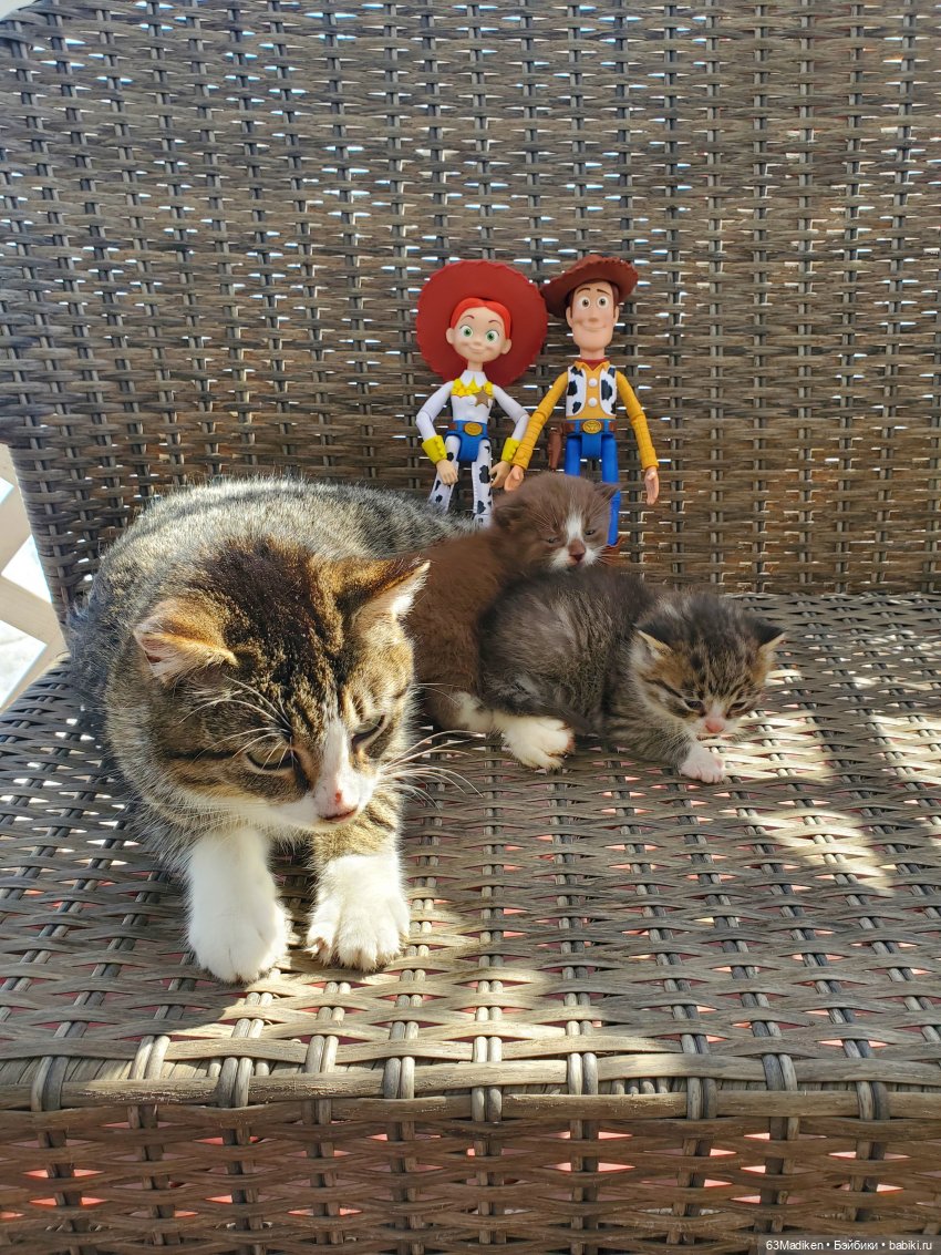 Ребята и котята — Куклы Mattel (Маттел) разное: Enchantimals (фото 9)