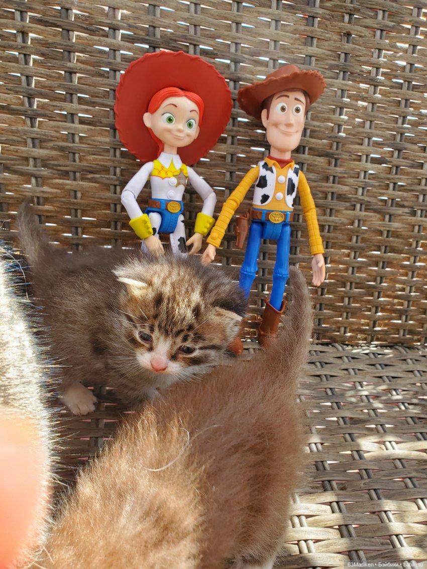 Ребята и котята — Куклы Mattel (Маттел) разное: Enchantimals (фото 7)