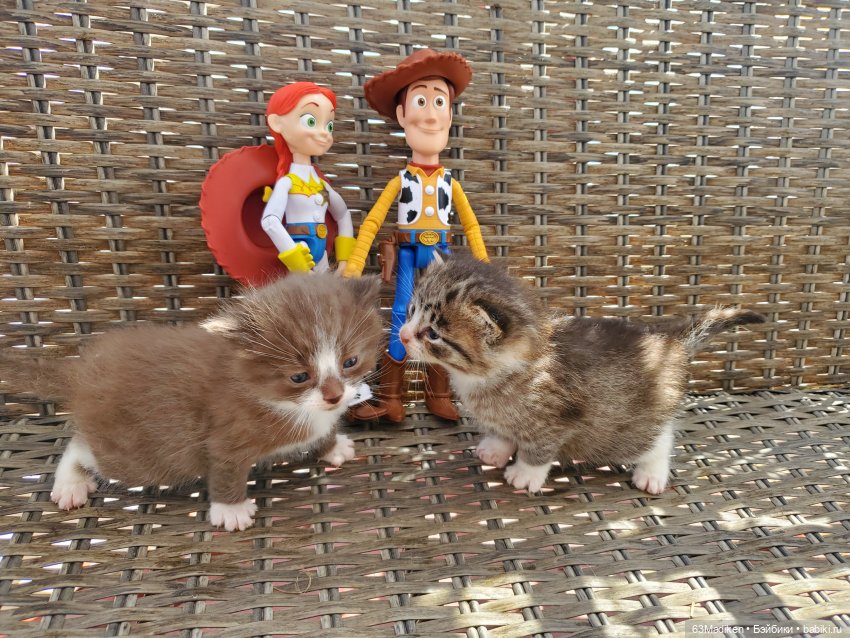 Ребята и котята — Куклы Mattel (Маттел) разное: Enchantimals (фото 6)