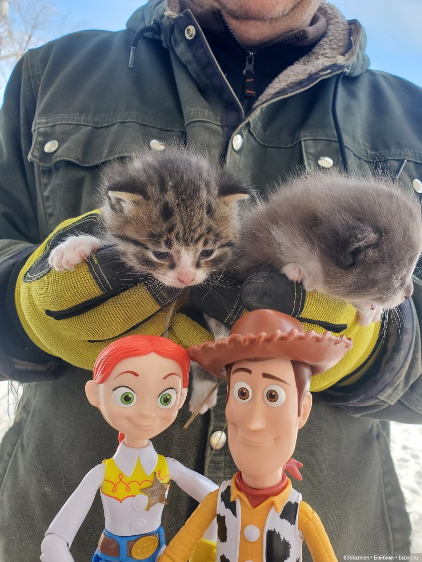 Ребята и котята — Куклы Mattel (Маттел) разное: Enchantimals (фото 5)