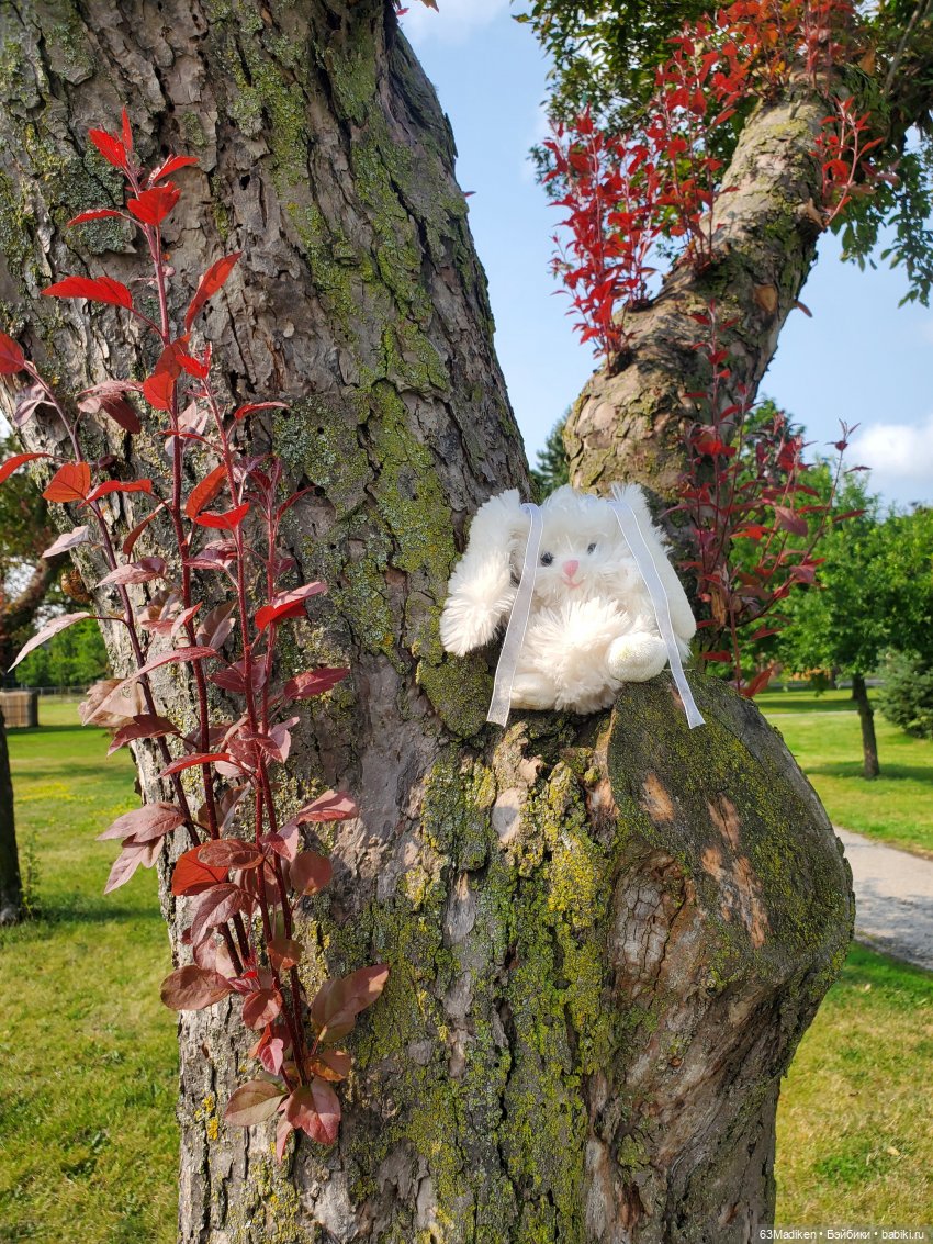 Клара и Зайка в парке 🍏 — Куклы Corolle (Королле): французские (фото 10)