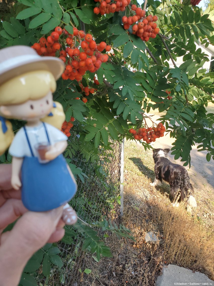 Переезд — Другие Blind Box и Арт (фото 6)