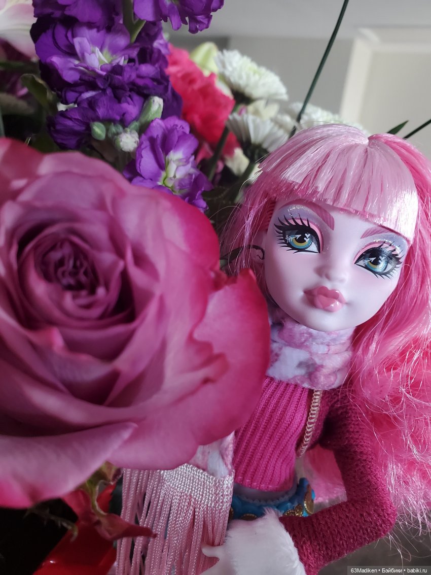 Ещё один чемоданчик 😉 — Куклы Monster High (Монстер Хай)