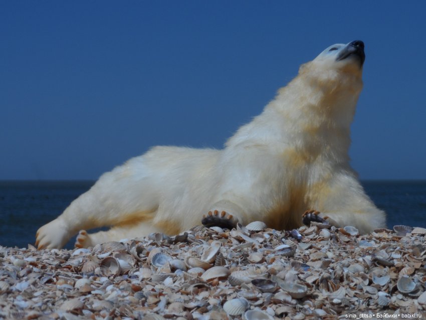 Привед медвед — Авторские игрушки ручной работы: Тедди