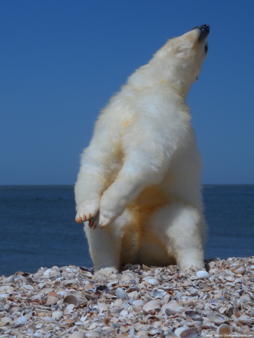 Привед медвед — Авторские игрушки ручной работы: Тедди (фото 5)