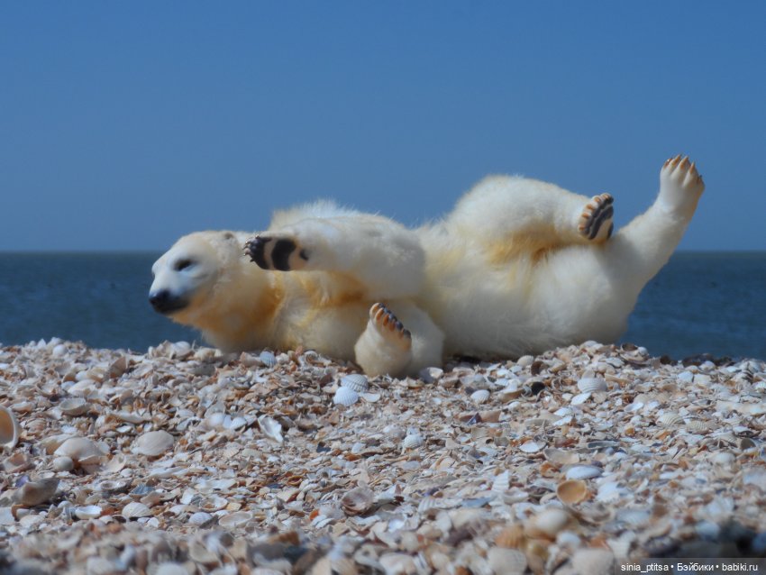 Привед медвед — Авторские игрушки ручной работы: Тедди (фото 3)