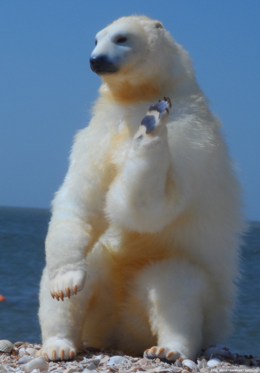 Привед медвед — Авторские игрушки ручной работы: Тедди (фото 6)