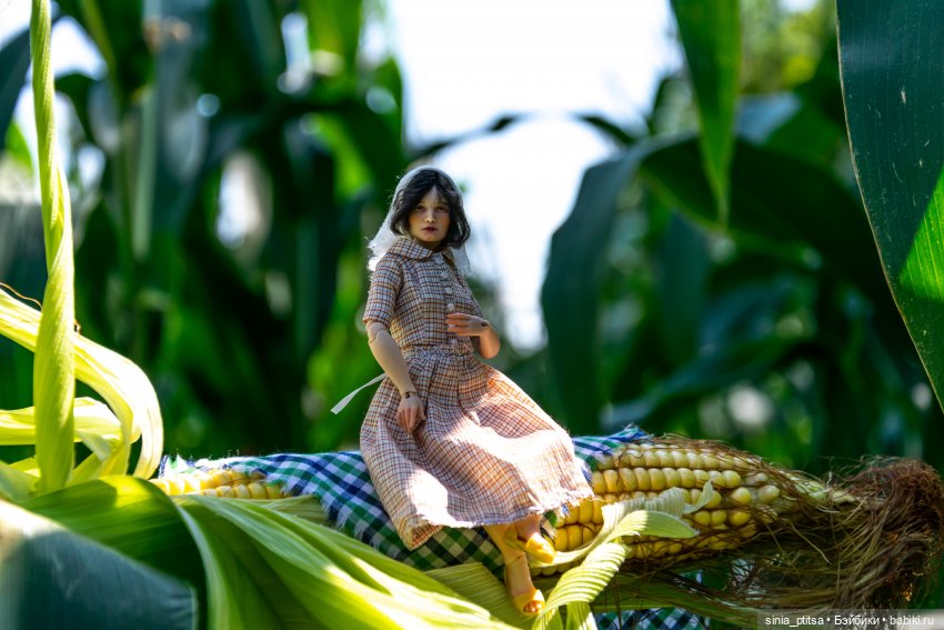 Стога и подсолнухи — Домашние фото авторских кукол: личные коллекции