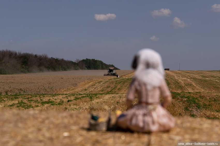 Стога и подсолнухи — Домашние фото авторских кукол: личные коллекции