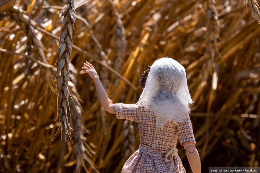 Стога и подсолнухи — Домашние фото авторских кукол: личные коллекции