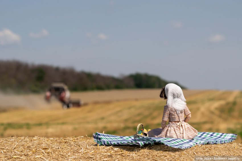 Стога и подсолнухи — Домашние фото авторских кукол: личные коллекции