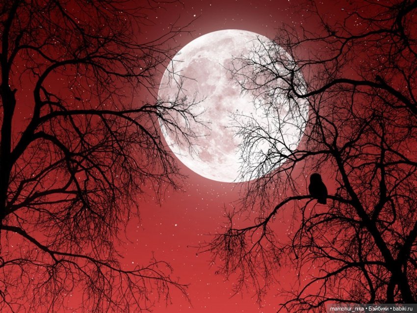 Истории phicen "Магия и любовь" часть 6 (фото 7)