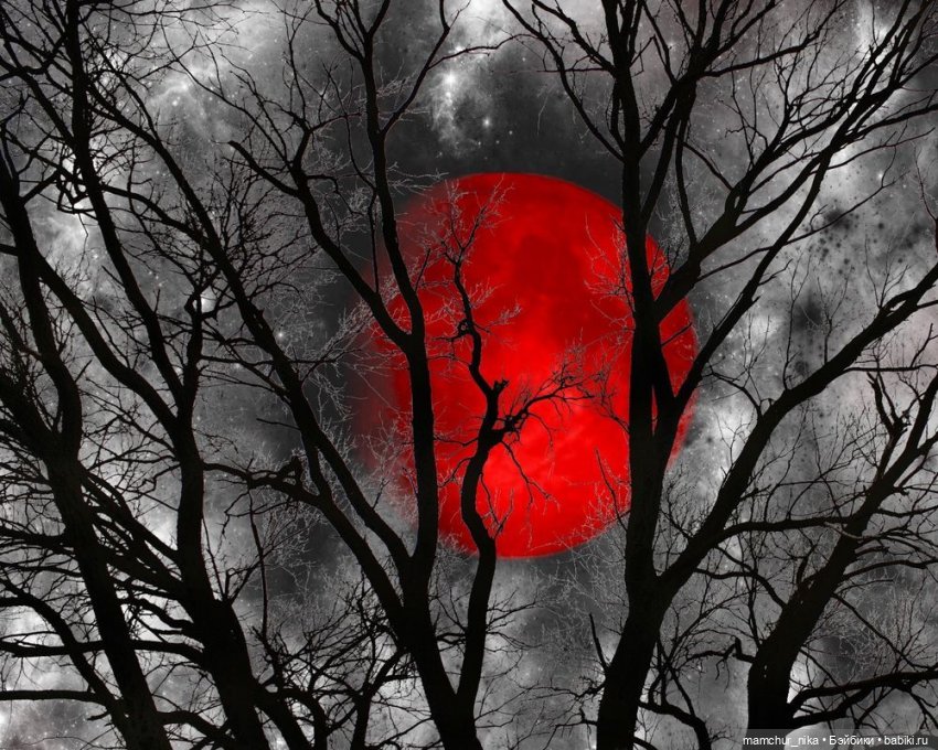 Истории phicen "Магия и любовь" часть 6