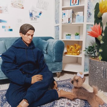 Лекс,собака и офис