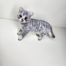❗ Продажа котик 1/6